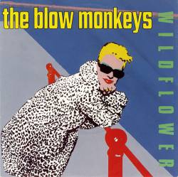 The Blow Monkeys : Wildflower
